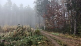 Z Ledců na Košutku / 17