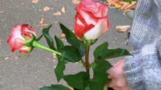 Cozy and warm November (1st part) / 8