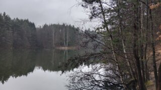 Kolem Strženky / 8