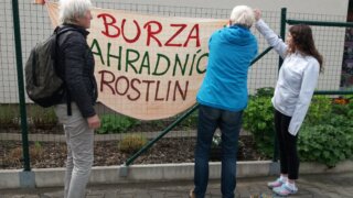 Burza zahradních rostlin