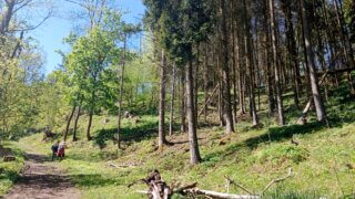 Kolem Vlčí hory / 6