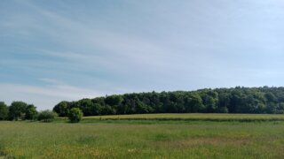 Kolem Chlumu / 11