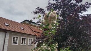 Beroun / 17