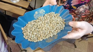 Do Dýšinské pražírny Coffee77 / 2