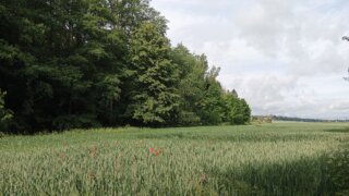 Z Křimic do Radčic / 4