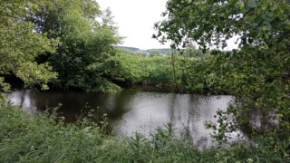 Z Křimic do Radčic / 5