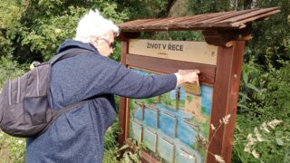 Z Křimic do Radčic / 7