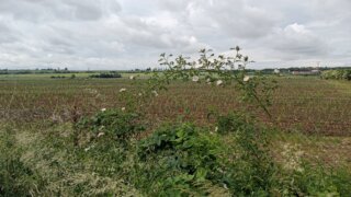 Z Křimic do Radčic / 8