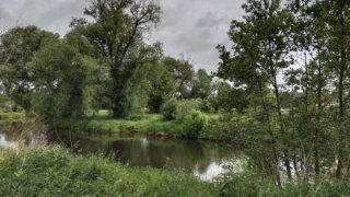 Z Křimic do Radčic / 9