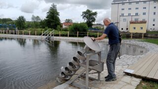 Z Křimic do Radčic / 11