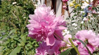 Mezigenerační setkání se třídou Kytička / 22