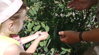 Mezigenerační setkání se třídou Kytička / 11