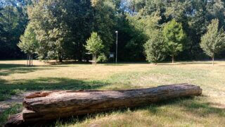 Z Bor do Luftovy zahrady / 1