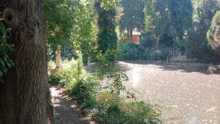 Z Bor do Luftovy zahrady / 4