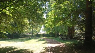 Z Bor do Luftovy zahrady / 5