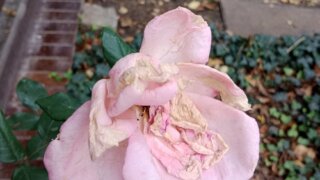 Sejdeme se u lavičky / 2