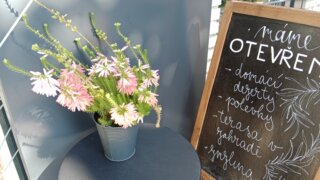 Sejdeme se u lavičky / 8