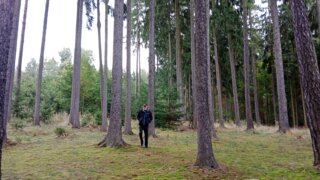 Z Černic do Starého Plzence / 3