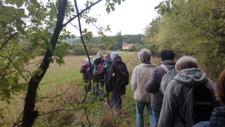 Z Černic do Starého Plzence / 5