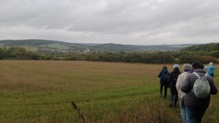 Z Černic do Starého Plzence / 6