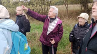 Z Černic do Starého Plzence / 8