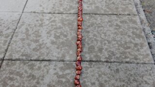 Mezigenerační setkání se třídou Kytička / 15