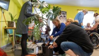 Dny dobrovolnictví 2025 v Plzeňském kraji: Malé ohlédnutí / TOTEM 