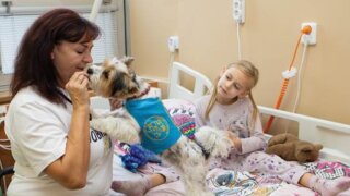 Výzva pro dobrovolníky a zdravotnická zařízení! / TOTEM 