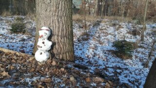 Novoroční vycházka zimní přírodou na Nové Hospodě / TOTEM 