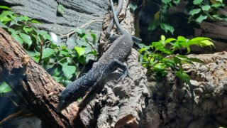 Malý prostor, obrovské zážitky – taková je plzeňská Akva Tera / 2