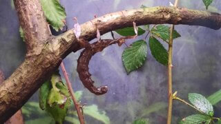 Malý prostor, obrovské zážitky – taková je plzeňská Akva Tera / 3