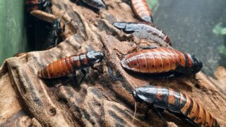 Malý prostor, obrovské zážitky – taková je plzeňská Akva Tera / 4