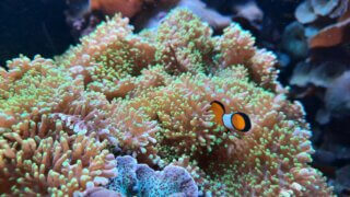 Malý prostor, obrovské zážitky – taková je plzeňská Akva Tera / 7