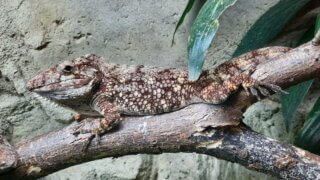 Malý prostor, obrovské zážitky – taková je plzeňská Akva Tera