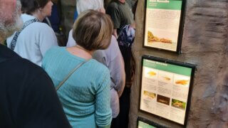 Malý prostor, obrovské zážitky – taková je plzeňská Akva Tera / 5