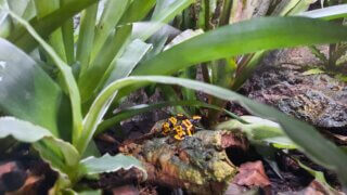 Malý prostor, obrovské zážitky – taková je plzeňská Akva Tera / 11