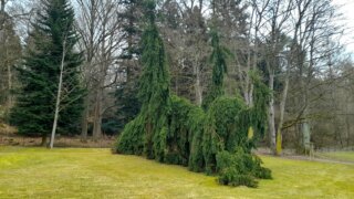 Výlet na zámek Žinkovy - návrat do otevřené romantické perly Plzeňska / 12