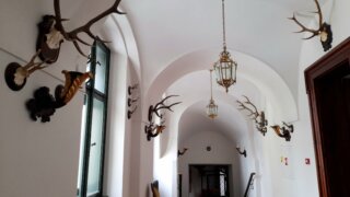 Výlet na zámek Žinkovy - návrat do otevřené romantické perly Plzeňska / 31