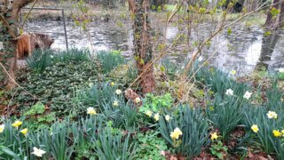 Kouzlo přírody v Luftově zahradě / 1