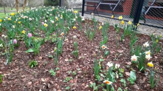 Kouzlo přírody v Luftově zahradě / 2