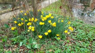 Kouzlo přírody v Luftově zahradě / 6