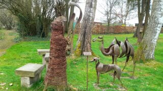 Kouzlo přírody v Luftově zahradě / 8