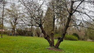 Kouzlo přírody v Luftově zahradě / 9