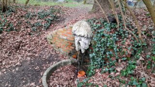 Kouzlo přírody v Luftově zahradě / 15