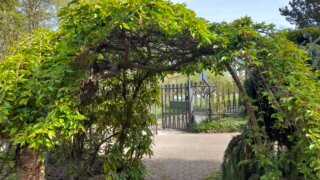 Meditační zahrada v Plzni 28.4.2026 / 6