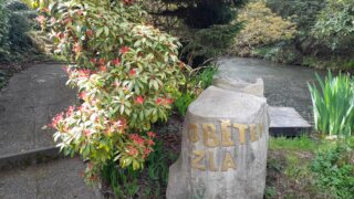 Meditační zahrada v Plzni 28.4.2026 / 7