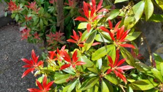 Meditační zahrada v Plzni 28.4.2026 / 8