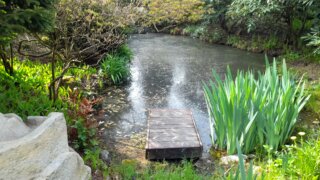 Meditační zahrada v Plzni 28.4.2026 / 9