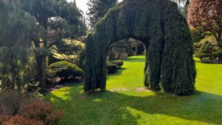 Meditační zahrada v Plzni 28.4.2026 / 12