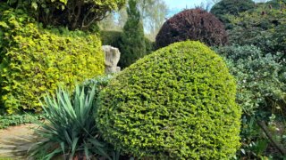 Meditační zahrada v Plzni 28.4.2026 / 15